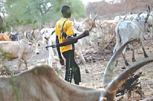 fulani herdmen