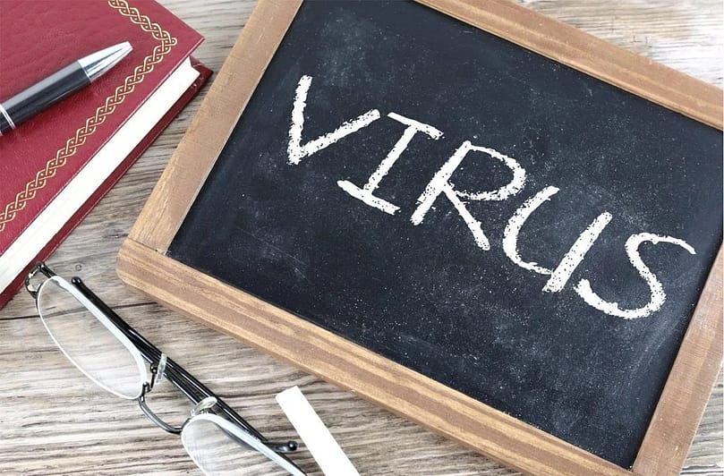 New virus found in equitorial guinea